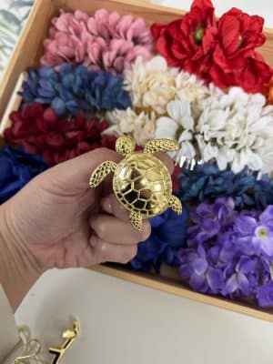 Broche tortuga