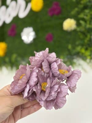 Orquídeas
