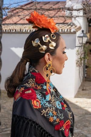 Peinecillos lazo grande